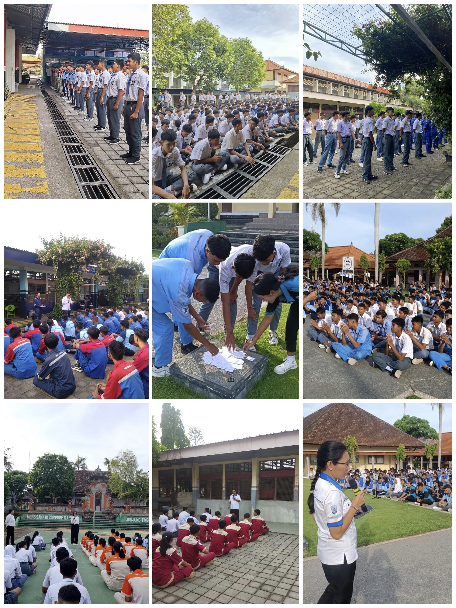 Morning Briefing 20 November 2024