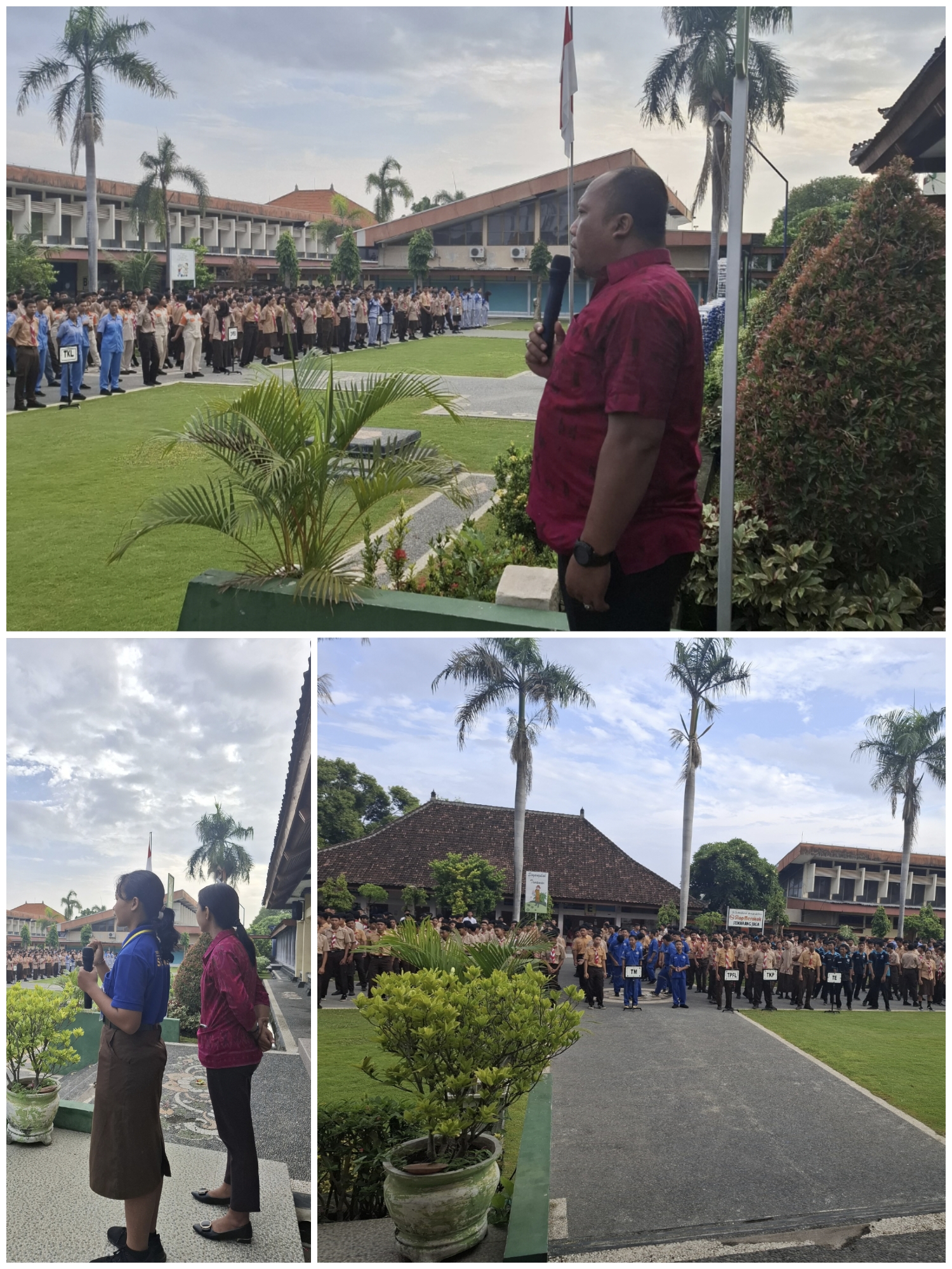 Morning Briefing 29 November 2024