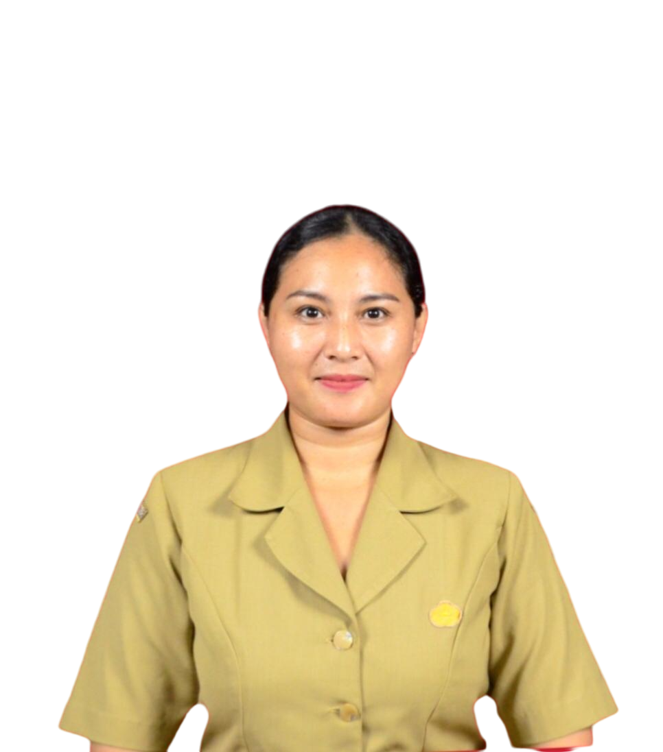 Ni Made Novi Widiantari, S.Sn