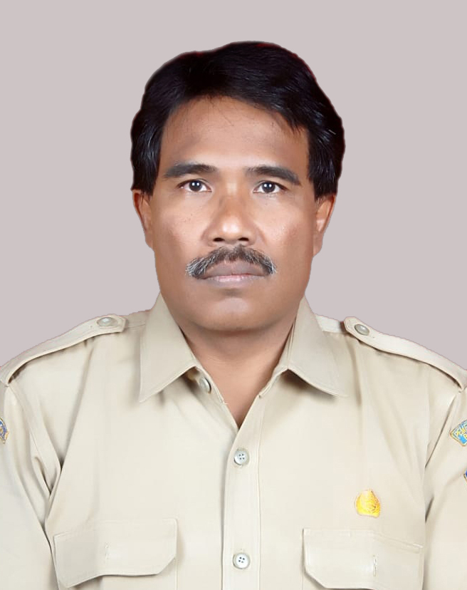 I Wayan Balok Wijaya, S.Kom